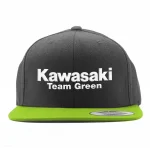 official kawasaki team green y 0 1750479699 - BTOSPORTS